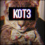 kot3