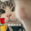 大大怪