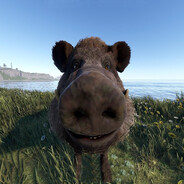 Player avatar
