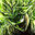 florjks7 avatar