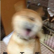 一车橘猫