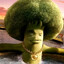 PvZ player