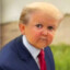 Trumpulla