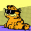 The Garf Zone