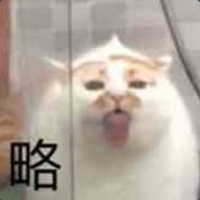 努力混分上大师