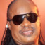 Stevie Wonder