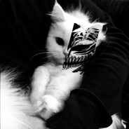 ekhegis ; 義 - steam id 76561199497006618