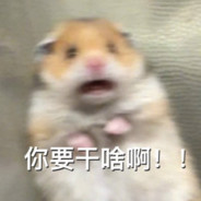 ฅ( ̳• ◡ • ̳)ฅ