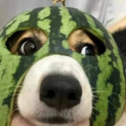 丁真爱抽电子烟