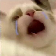 今晚请你喝咖啡