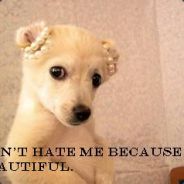 death - steam id 76561197960493242