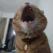 乌木威尔维恩恩耶尔吐温威尔温穆本欧萨斯