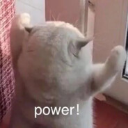 安米（不耐糖版）