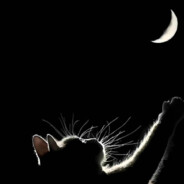 世间少年 挺身向前