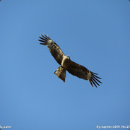 我是你的盖世战神