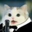 Business Cat