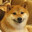 LaggyDoggy
