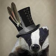 BadgerWifHat