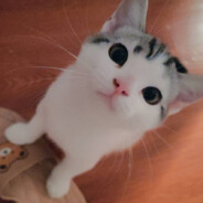 勇敢超超不怕困难