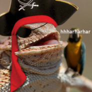 A Goshdarn Pirate