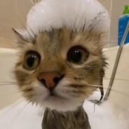 Meow Meow's avatar