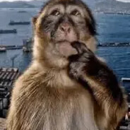 Hectezus - steam id 76561198764709546