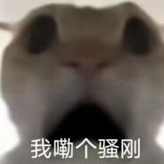 棋是我唯一的诗