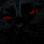 jez's avatar