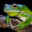 frog_johnson's avatar