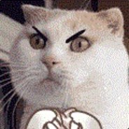 喵帕斯酱的铲屎君CSJ