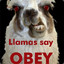 Lord Llama