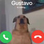 Gustavo&#039;s Friend