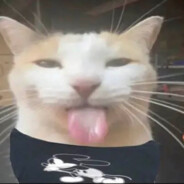 dp
