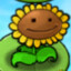 Suspicious Sunflower