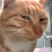 Gooooooooooooooooooooooooooo