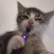 londo4kt Steam avatar