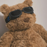 不是闲狗也要工作