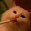 Peppe