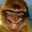 Bunkinstan avatar