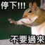 瘋狗