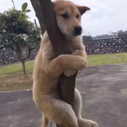 有钱没钱回家过年