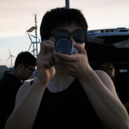 我愿你翩若惊鸿