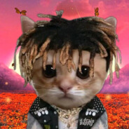 𝖏𝖚𝖎𝖈𝖊🧃🌍