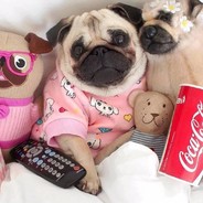 我等下要睡觉了