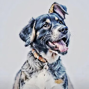 引力波震飞牛魔