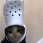Bischu