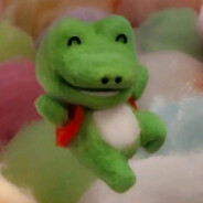 我家小狗叫欢欢