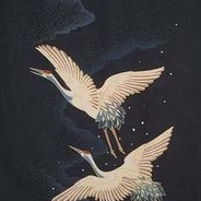 白鹤御风神行万古流芳