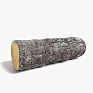 Log