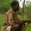 African Humble Hunter